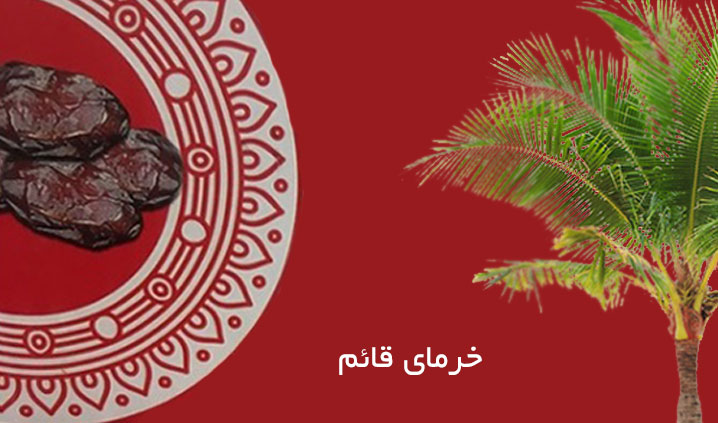 پخش خرما در تهران